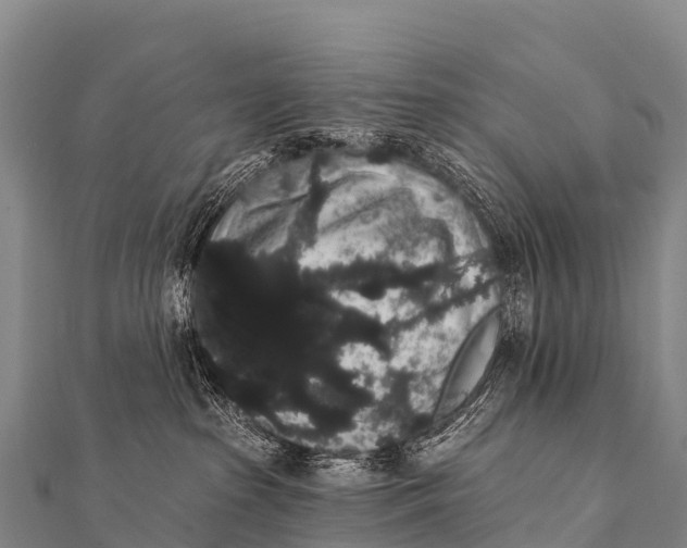 X0000112000285200908241440