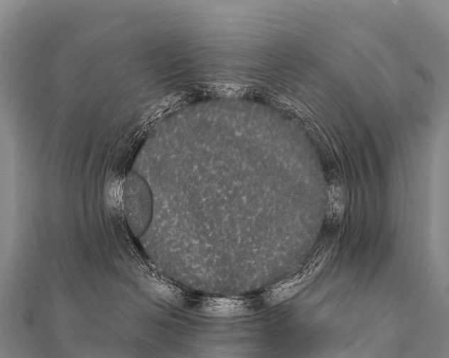 X0000112000286200908241440