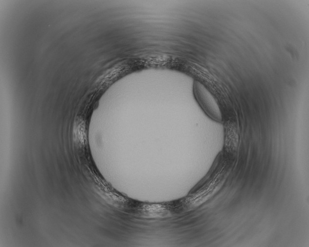 X0000112000287200908241440