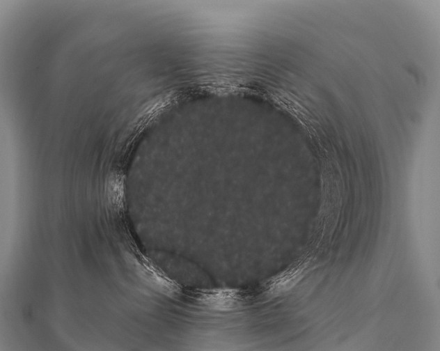 X0000112000288200908241440