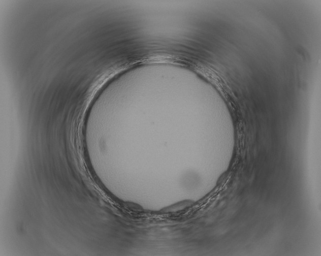 X0000112000289200908241439