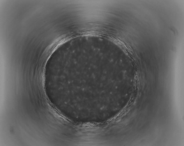 X0000112000290200908241439