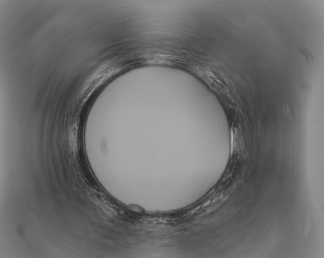 X0000112000291200908241439