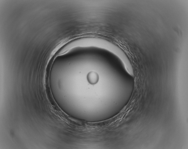 X0000112000292200908241439