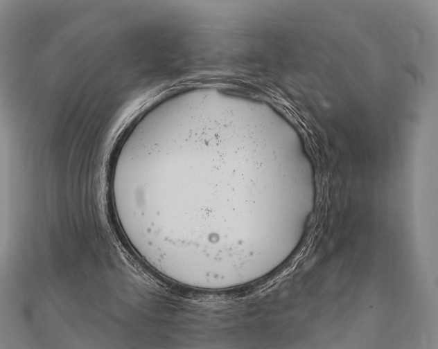 X0000112000293200908241439