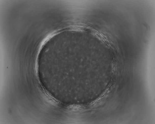 X0000112000294200908241439