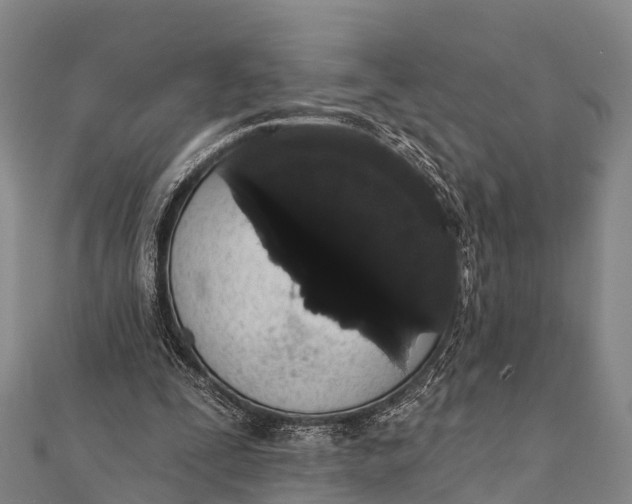 X0000112000295200908241439