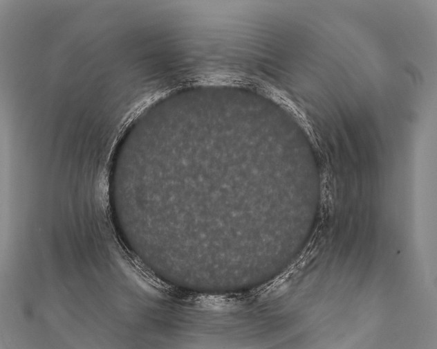 X0000112000298200908241439