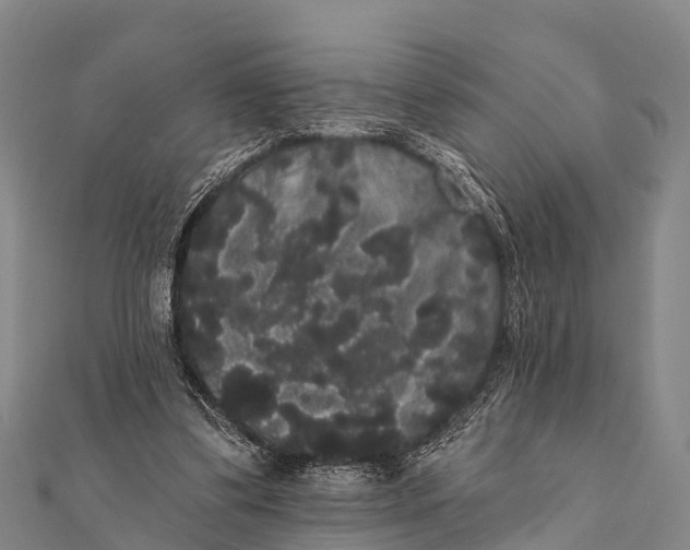 X0000112000299200908241439