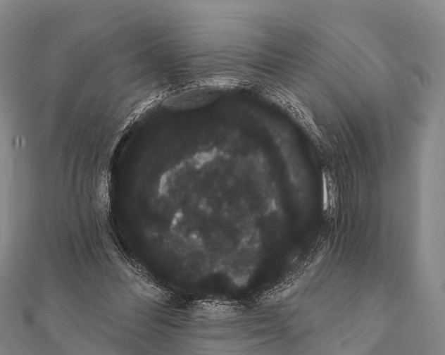 X0000112000300200908241439