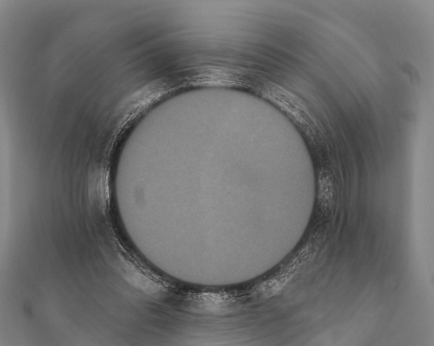 X0000112000302200908241439