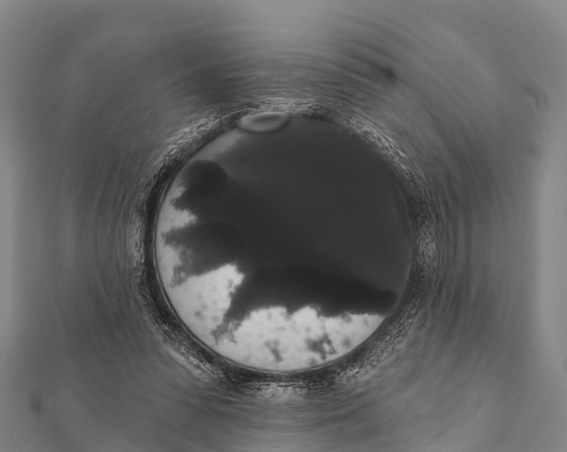 X0000112000303200908241439