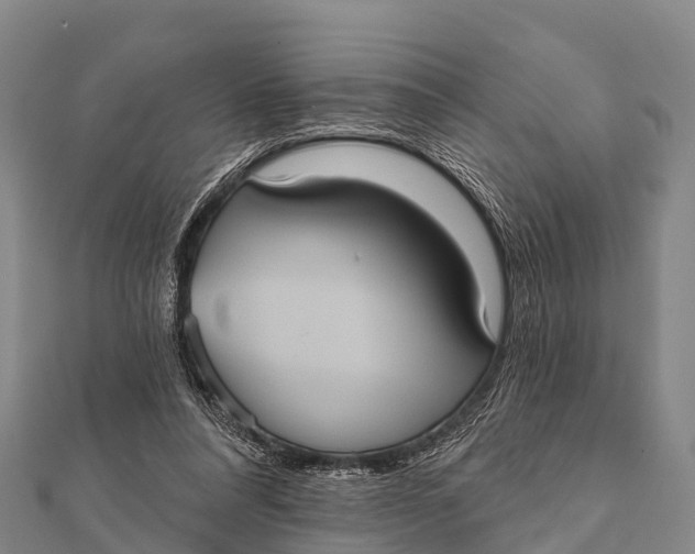 X0000112000304200908241439