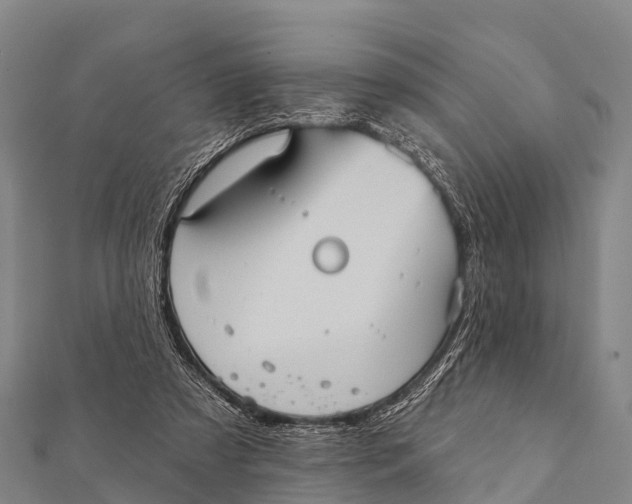 X0000112000305200908241439