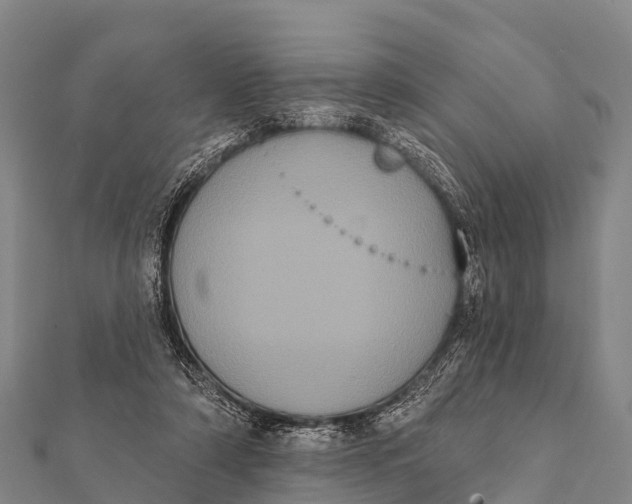 X0000112000306200908241439