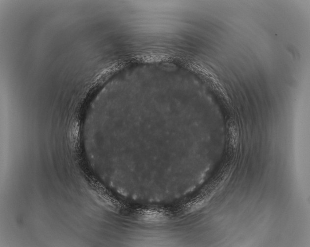 X0000112000308200908241439