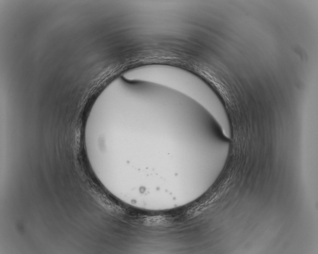 X0000112000309200908241439