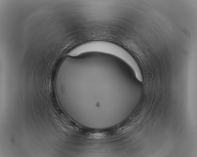 X0000112000312200908241439