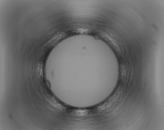 X0000112000313200908241439