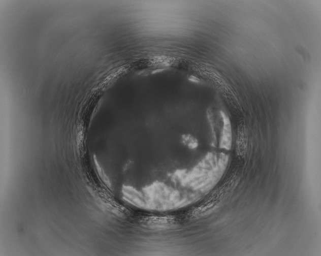 X0000112000314200908241439