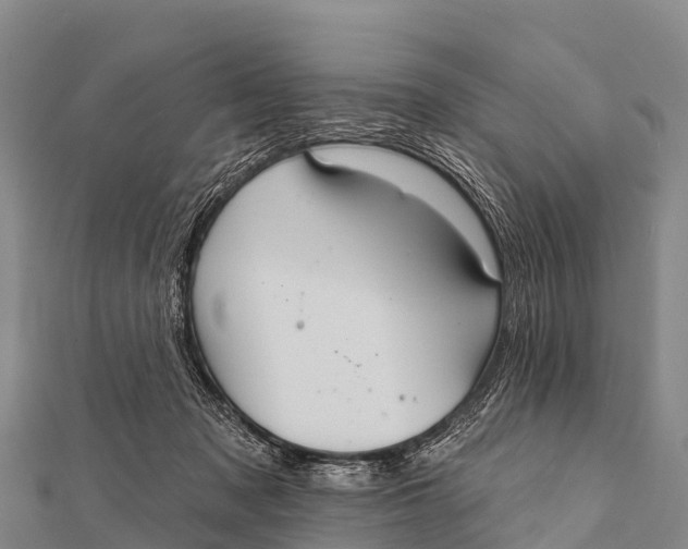 X0000112000317200908241438