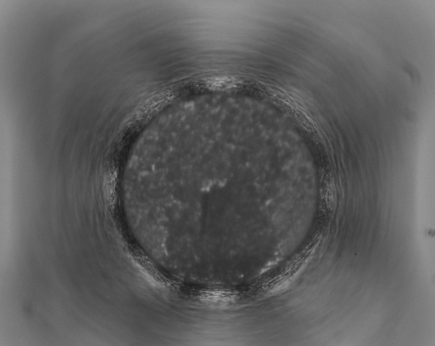 X0000112000319200908241438