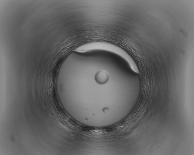 X0000112000320200908241438