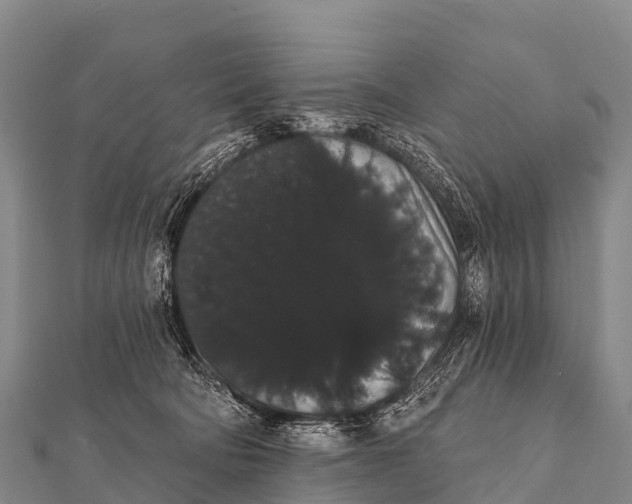 X0000112000322200908241438