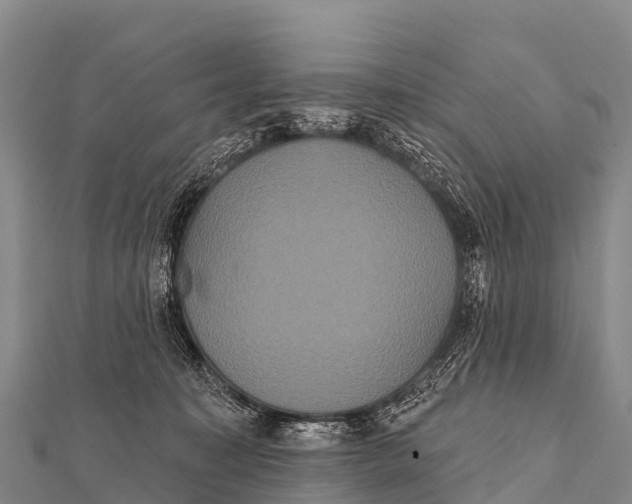 X0000112000323200908241438