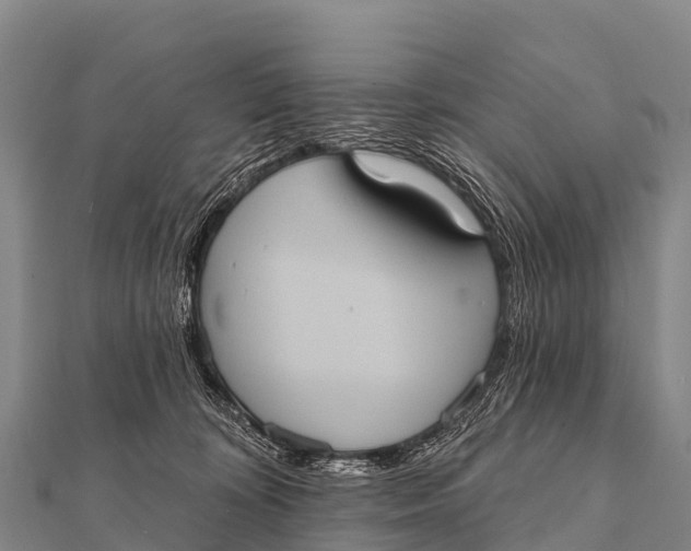 X0000112000324200908241438