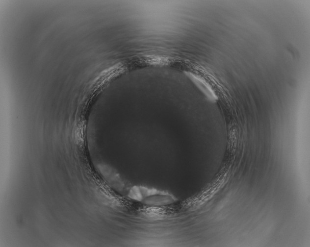 X0000112000325200908241438