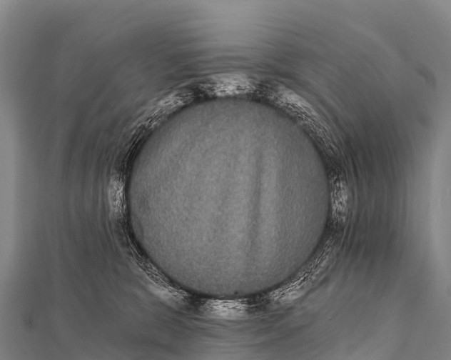 X0000112000327200908241438