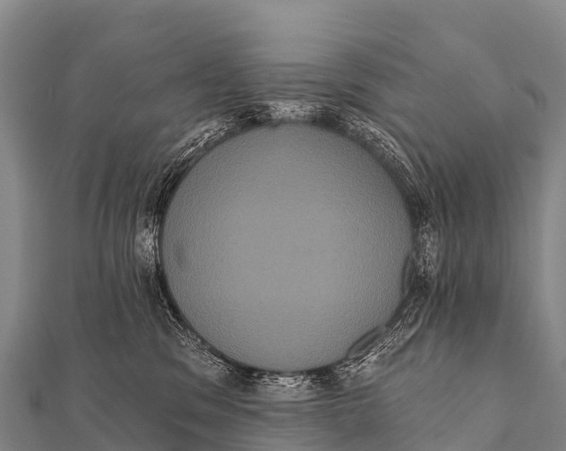 X0000112000329200908241438