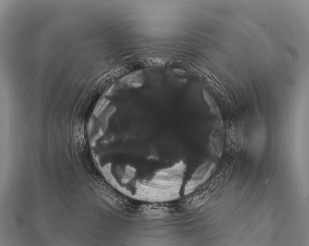 X0000112000331200908241438