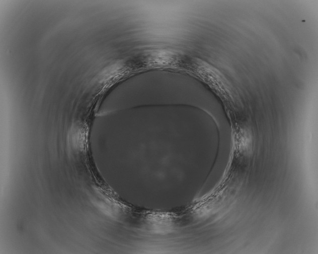 X0000112000332200908241438