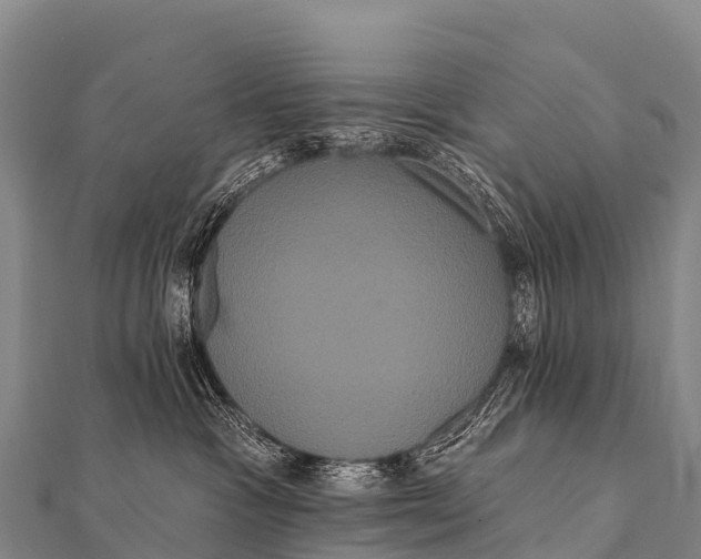 X0000112000333200908241438