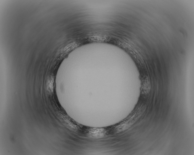 X0000112000334200908241438