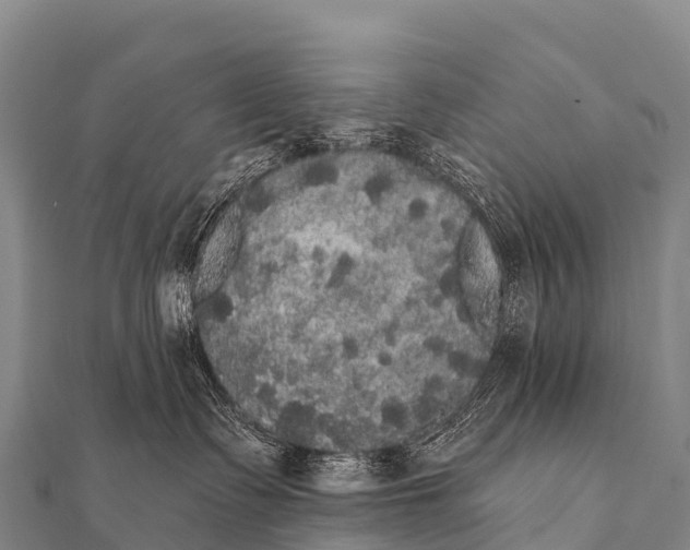 X0000112000335200908241438