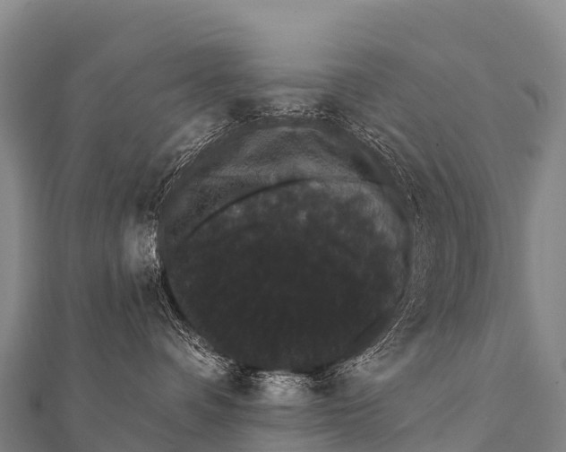 X0000112000336200908241438