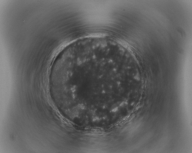 X0000112000337200908241437