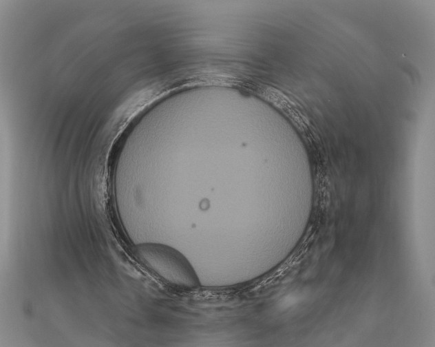 X0000112000338200908241437