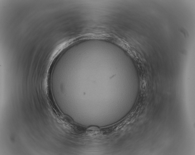 X0000112000340200908241437