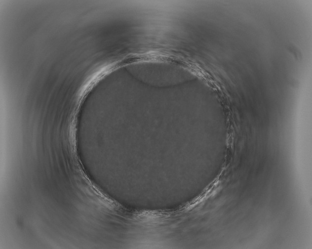 X0000112000341200908241438