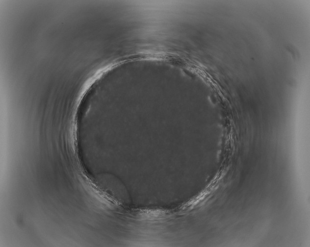 X0000112000342200908241438