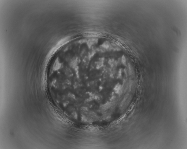 X0000112000343200908241438