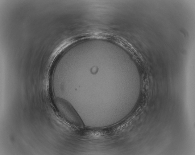 X0000112000344200908241438