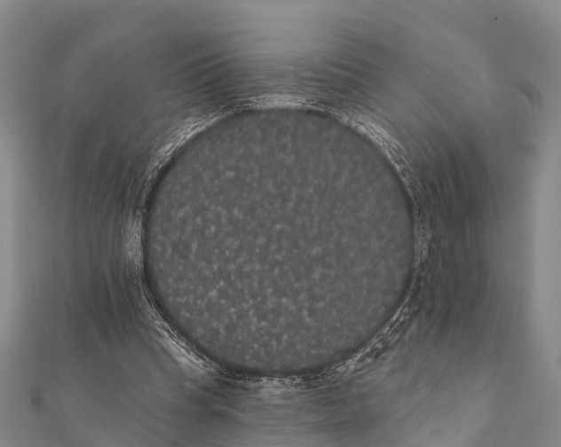 X0000112000345200908241438