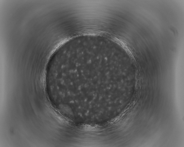 X0000112000346200908241438