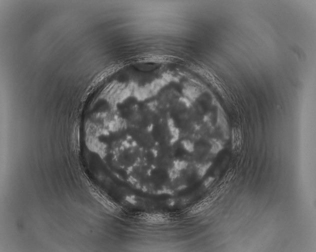 X0000112000349200908241438