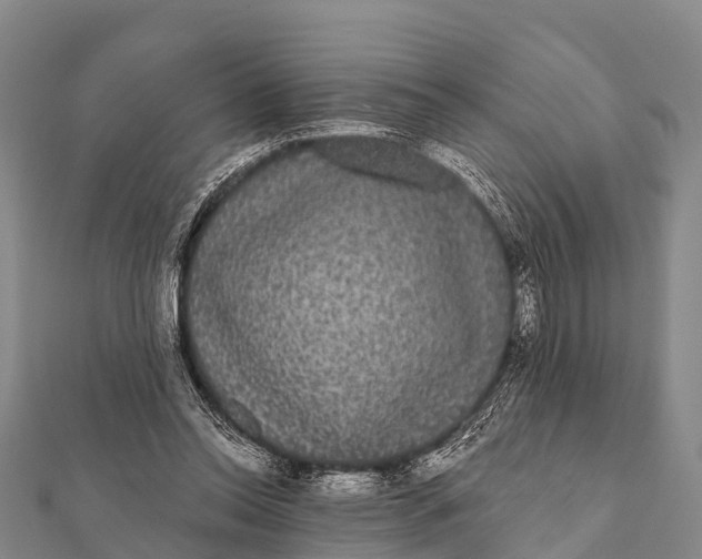 X0000112000350200908241438